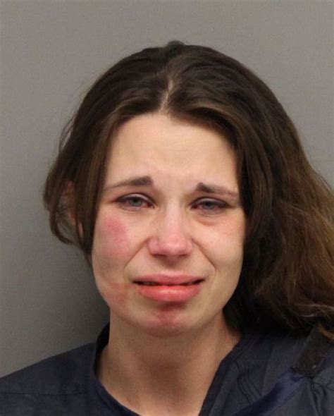 Police Say Woman Drove Drunk Ran Into Parked Semi Crime And Courts
