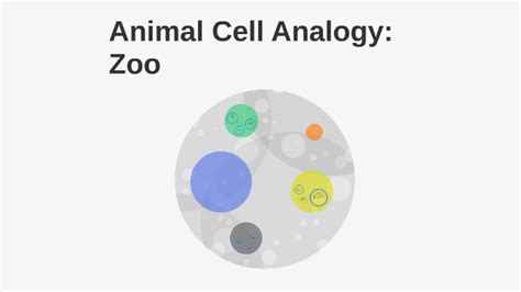 Fungal cells and some protist cells also have cell walls. Cell Analogy: Zoo by Callum Mckay