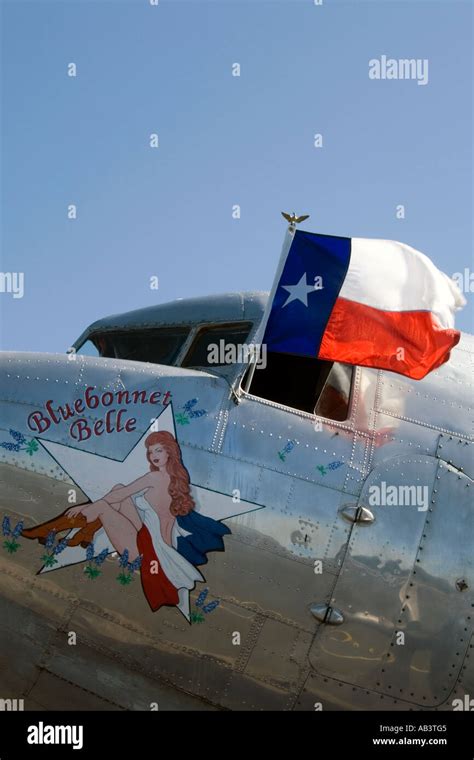 The Bluebonnet Belle Display The Texas Flag Stock Photo Alamy