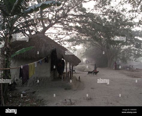 Bengali Village Stock Photo Alamy