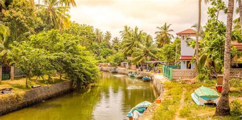 The Best Negombo Tours And Things To Do In 2024 Free Cancellation