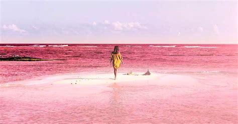There Is A Naturally Pink Lagoon In Mexico And It Is The Most Beautiful