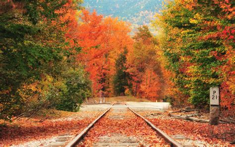 Amtrak Rolls Out Vintage Trains For Fall Foliage Lovers Travel Leisure