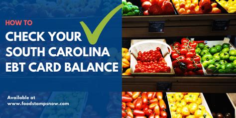 South Carolina Ebt Card Balance Phone Number And Login Food Stamps Now