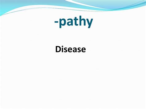 Ppt Veterinary Terminology Powerpoint Presentation Free Download