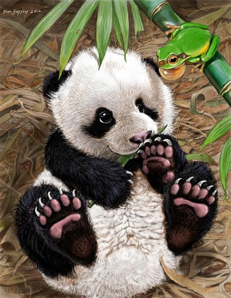 Panda Cub Watches Cute Green Tree Frog By Psithyrus On Deviantart