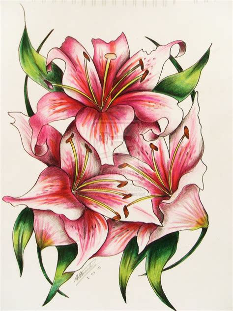 Lily Tattoo Drawing At Getdrawings Free Download