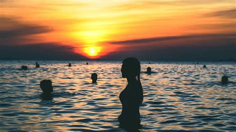 Free Photo Silhouette Photography Of People Swimming On The Beach During Golden Hour Backlit