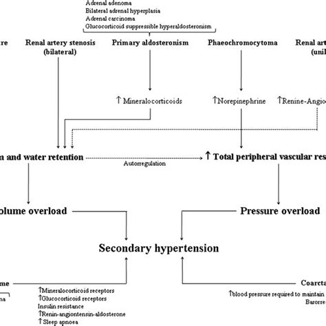 Pathophysiology Of Several Secondary Causes Of Hypertension