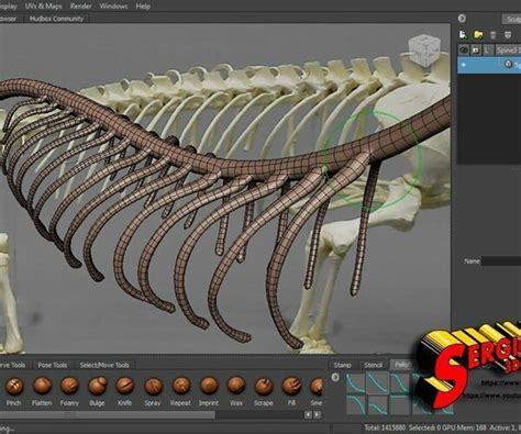 Artstation Komodo Dragon Skeleton 3d Print Model Resources