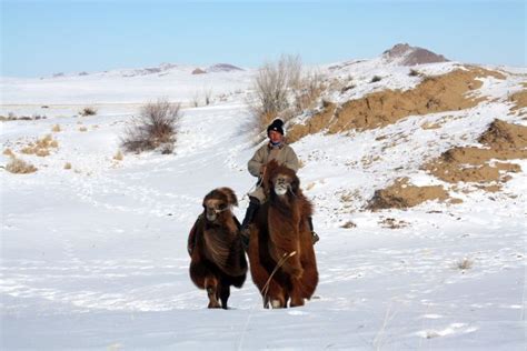 La Mongolie En Hiver Du Désert De Gobi à La Vallée De Lorkhon Trek