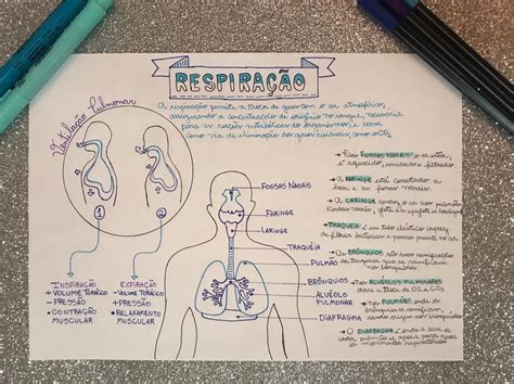 MAPA MENTAL Fisiologia do sistema respiratório Fisiologia Humana I