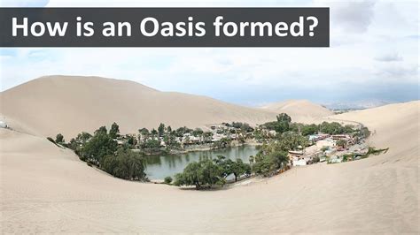 How Is An Oasis Formed Youtube