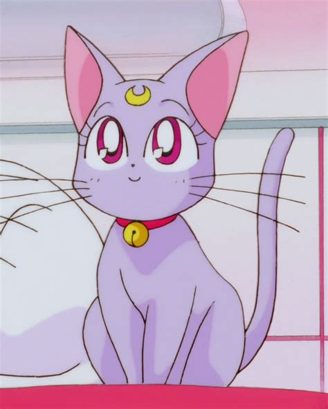 Diana Sailor Moon Dub Wiki Fandom
