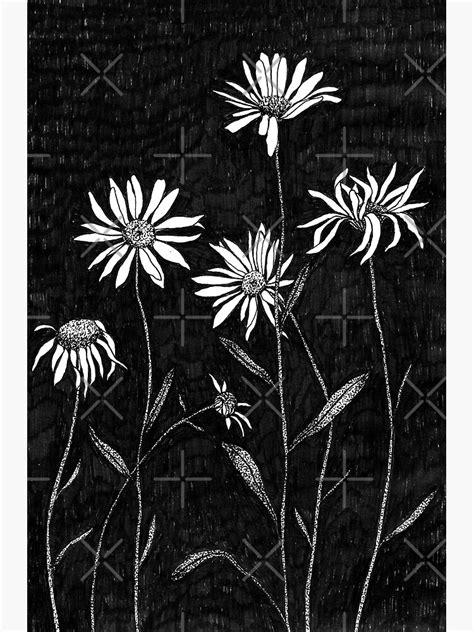Daisies Poster By Lexihastra Redbubble
