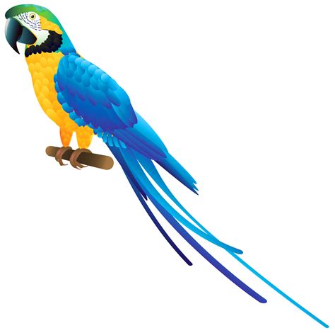 Blue Parakeet Clipart 20 Free Cliparts Download Images On Clipground 2019