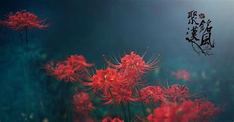 Anime Red Spider Lily Wallpaper Jan Tg Wallpaper The Spider Lily Resurrection Lily