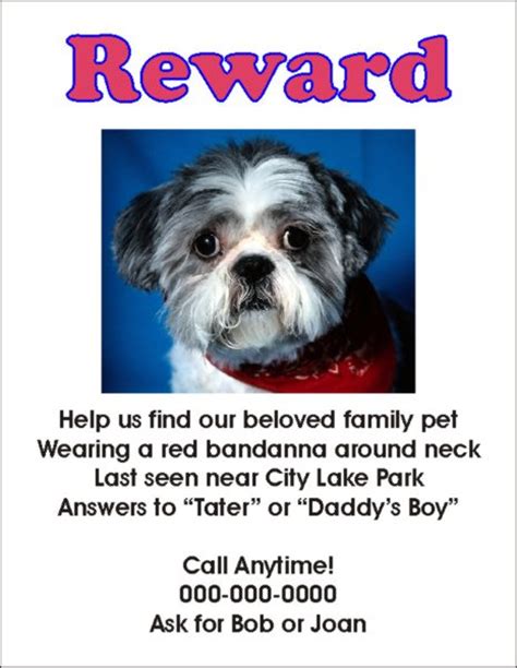 lost-dog-flyer | Will County Humane Society