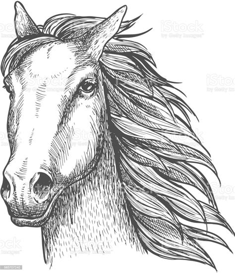 Detail Sketsa Gambar Kuda Koleksi Nomer 55