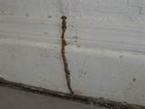 Pictures of Termite Treatment Video