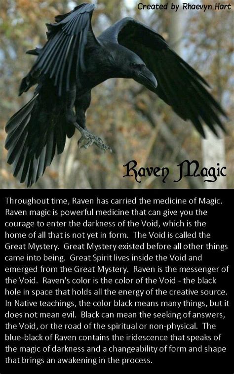 Raven Magic Raven Spirit Animal Animal Spirit Guides Crow Spirit Animal