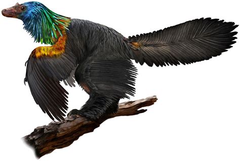 This Newly Discovered Dino Bird Sported Flashy Iridescent Feathers