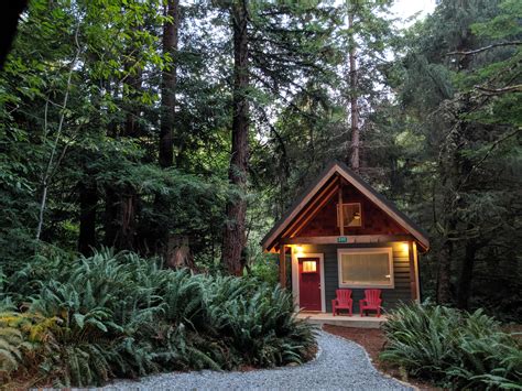Cozy little cabin on the outskirts of Jedidiah Smith Redwoods State