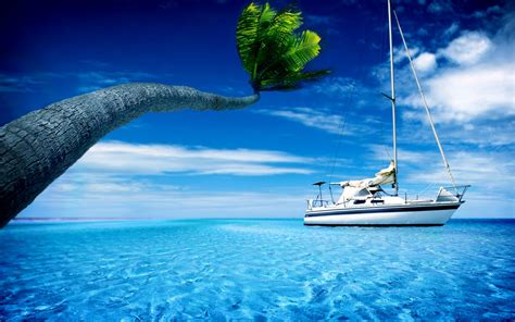 лодка лодки вода пальма пальмы небо лето жара яхта яхты обои для