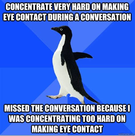 Web Of Funny Socially Awkward Penguin Makes Eye Contact