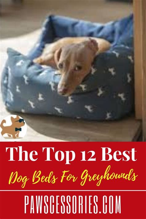 The Top 12 Best Dog Beds For Greyhounds 2021 Guide Cool Dog Beds