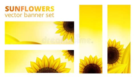 Vector Sunflowers Banner Stock Vector Illustration Of Horizontal