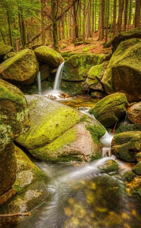 Forest Water Stream Wallpapers Wallpaper Cave