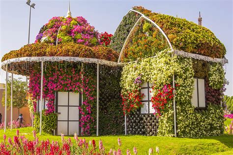 Dubai Miracle Garden Tickets And Attractions To The Worlds Largest