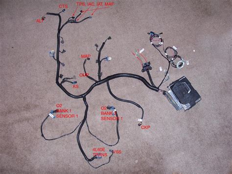 Chevy Engine Wiring Harness Diagram