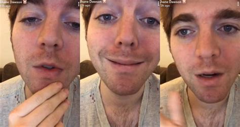 youtuber shane dawson denies having sex with cat in a series of bizarre tweets daily star