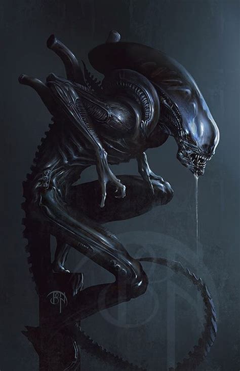 1000 Images About Xenomorphs On Pinterest Xenomorph No Escape And