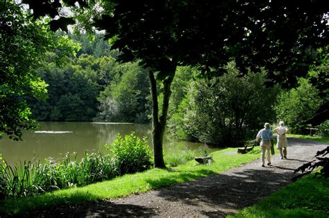 deutsche volkslieder und wie sie enstanden. Im schönsten Wiesengrunde - Vom Beuerbacher See zu seinen ...