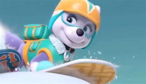 Pin By Christopher Sam On Paw Patrol Everest Everest Paw Patrol Paw
