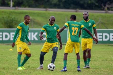 Golden Arrows Coach Steve Khompela Has Only One Thing In Mind Daily