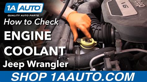 Total 43 Imagen How To Put Coolant In Jeep Wrangler Ecovermx
