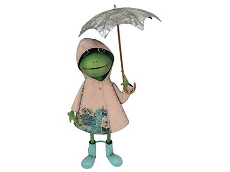 Mrs Frog In The Rain