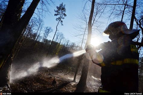 Nikdo se při ní nezranil. Šest hasičských jednotek likvidovalo požár lesního porostu ...