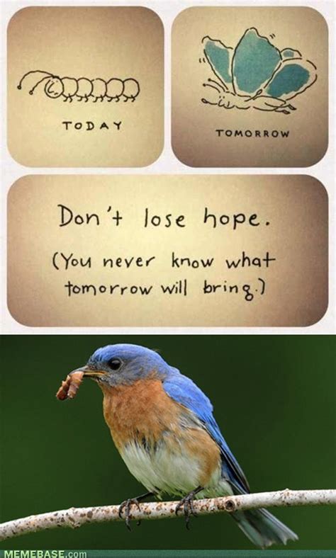 Hope Meme Dont Lose Hope Cool Words Hope Quotes