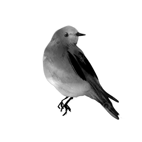 Black Ink Bird Ink Bird Bird Png Transparent Clipart Image And Psd