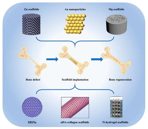 Nanomaterials Free Full Text Novel Inorganic Nanomaterial Based