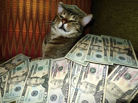 Cats And Cash 64 Pics