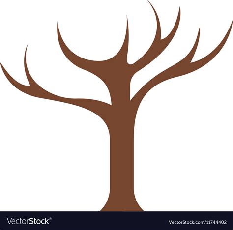 Tree Gnarly Png