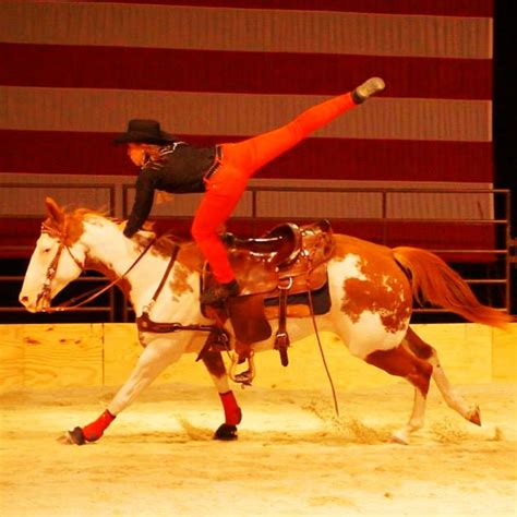 Pin By Leah Self On Trick Riding Trick Riding Horse Vaulting