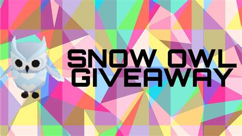 Snow Owl Giveaway Youtube