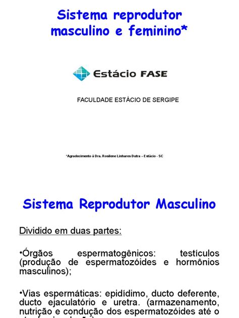 Pdf Sistema Reprodutor Histologia E Embriologia Dokumen Tips The